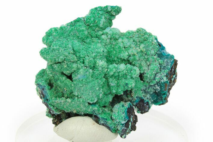 Forest Green Conichalcite on Chrysocolla - Namibia #295910